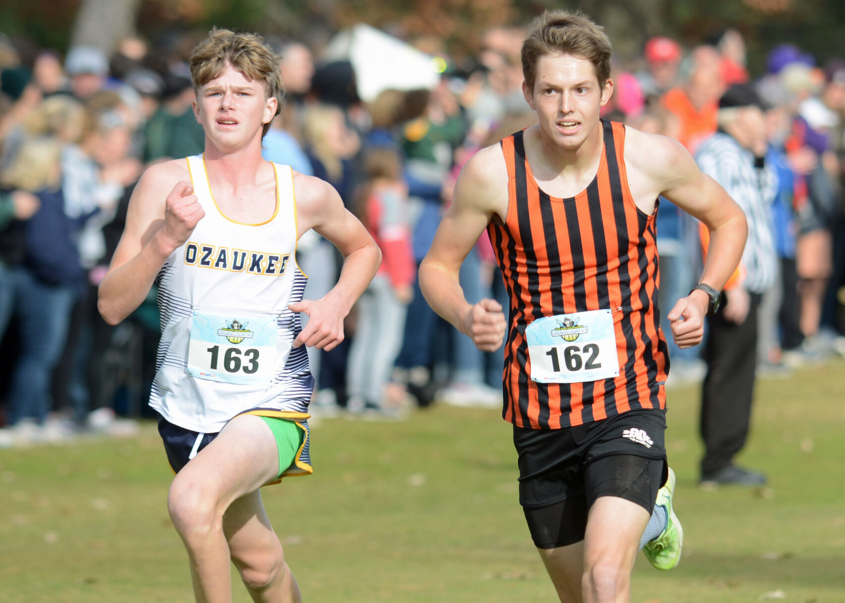 Poynette's Wyatt See